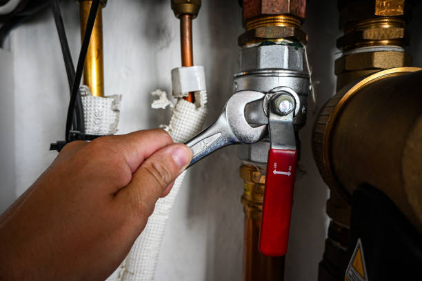 Best Shower Repair Services  in Nashua, IA